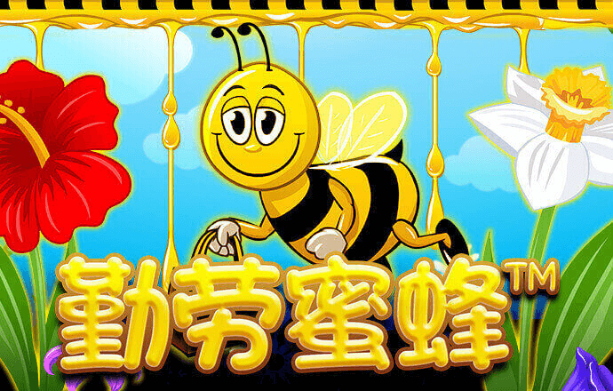 c7娱乐app